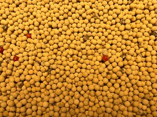 Dried white pepper balls 