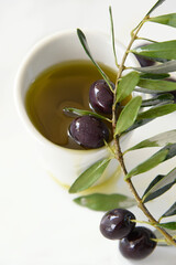 Extra Virgin Olive Oil in a White Plate and a Branch of Olives with Leaves on a White Background with Drops of Olive Oil.
