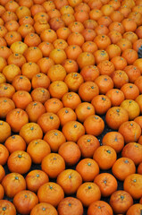 Verdure esposte . Carciofi, limoni, melanzane, aglio, cipolle, pomodori, funghi, arance, cachi, carote, mele, broccoli, patate