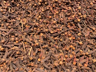 Dried cloves spice