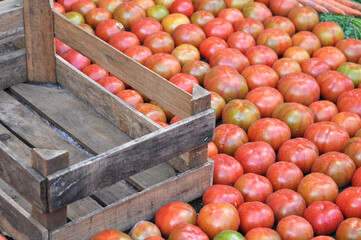 Verdure esposte . Carciofi, limoni, melanzane, aglio, cipolle, pomodori, funghi, arance, cachi, carote, mele, broccoli, patate