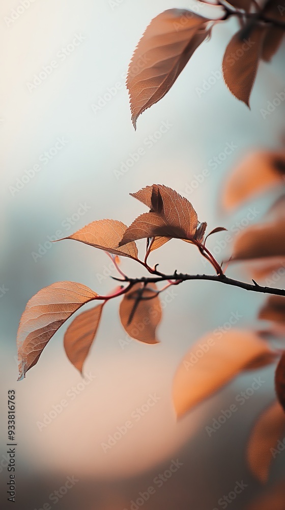 Poster close-up of leaves on a branch with soft background, nature concept