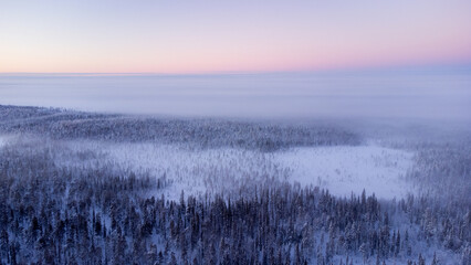 Fototapeta premium Snowy Winter Landscape in Lapland