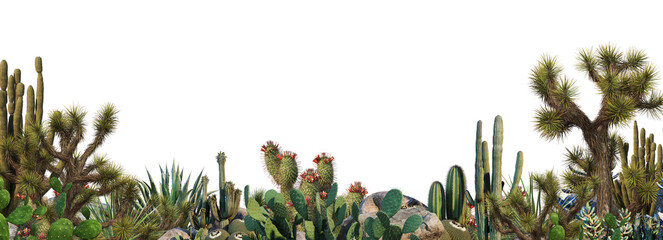 3D render foreground of cactus garden on transparent background © jomphon