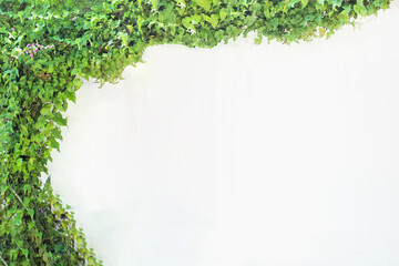 Muro branco com folhas