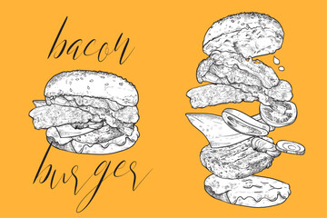 Bacon burger with minced meat, onion, mayo, ketchup, cheese, bacon and bread buns. Line art vector hand drawn and colored. Ingredients are grouped separately.