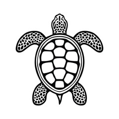 Fototapeta premium Turtle vector outline illustration design