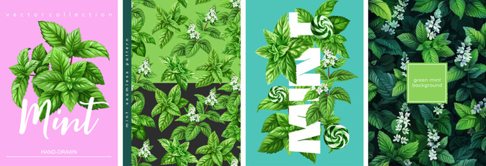 Hand drawn set of designs and patterns. Vectorized gouache illustrations. Illustrations of mint with flowers and peppermint candies for poster, prints, menu, card or textile
