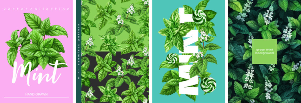 Hand drawn set of designs and patterns. Vectorized gouache illustrations. Illustrations of mint with flowers and peppermint candies for poster, prints, menu, card or textile

