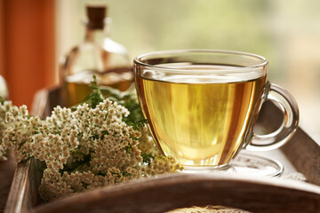 Herbal tea in a glass cup with fresh yarrow or Achillea millefolium plant