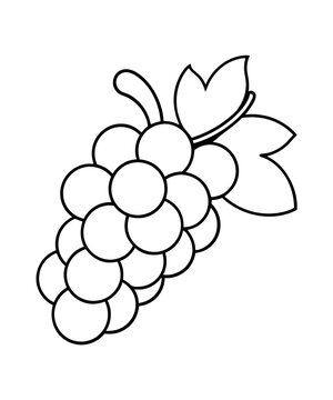 recommend clip art: grapes fruit with leaf vector icon.