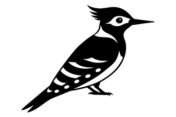 Fulvous-Breasted Woodpecker Silhouette Design - Detailed Vector Illustration for SVG, Cricut, and Clipart Use