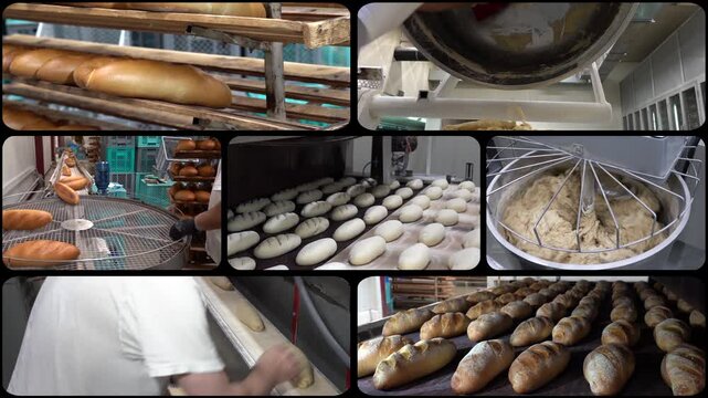 Bread Factory - Multiscreen Video Montage. Bread Factory Production Line. Baker Works at Bread Packaging Line. Tasty, Rustic Baked Bread Coming Out from Industrial Furnace.