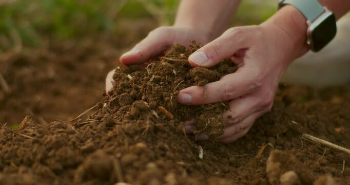 Farmer Examines and Crumbles Soil Structure in Hands