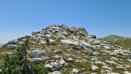 Les rochers de quartz des Esquerdes de Rotjà (massif du Canigó)