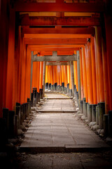 Fototapeta premium fushimi inari shrine's torii gates in kyoto, japan