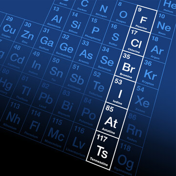 The halogens, a group of chemically related elements in the periodic table. Fluorine, chlorine, bromine, iodine, and the radioactive elements astatine and tennessine, also known as group 17. Vector