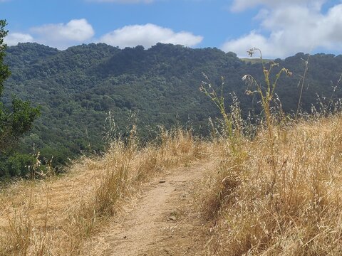 The peaks of the East Bay hills from the trails at Pleasanton Ridge, California
