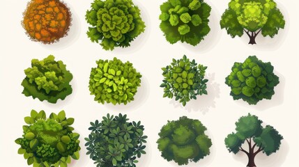 Top View of Tree Crowns in Green and Yellow Colors