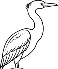 Aghinga Bird Vector Design, for various way. 