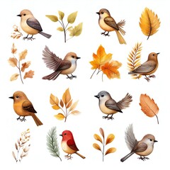 Fototapeta premium Clipart the little forest bird in autumn, isolated white background