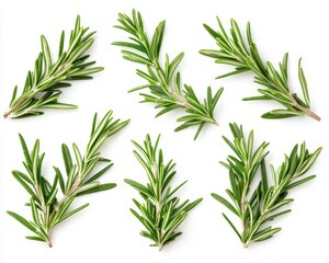 Rosemary Sprigs A TopDown Perspective on Fresh Green Herb Sprays Isolated on White Background