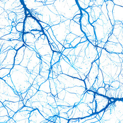 Fototapeta premium Abstract representation of neural connections in vibrant blue against a white background, showcasing intricate patterns akin to a network, illustrating biological complexity and interconnectedness