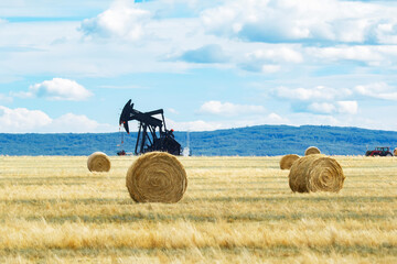 Round yellow bales and pumpjacks in the field with blue sky.