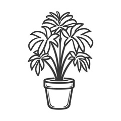 Obraz premium A Line Drawing of a Houseplant in a Pot