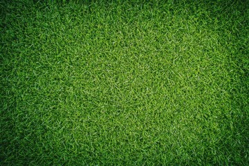 Obraz premium Green Grass Texture