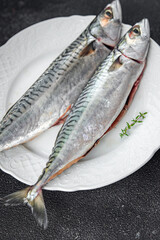 mackerel fish raw seafood fresh meal food snack on the table copy space food background rustic top view 