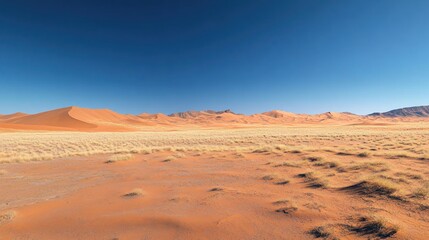 Desert Landscape in Namibia