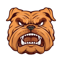 Angry bulldog face vector illustration. Fierce mascot isolated on a white background, ideal for sports logos and team branding.