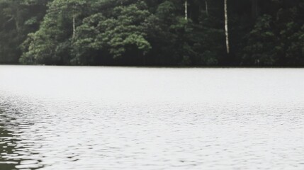A calm lake with trees in the background