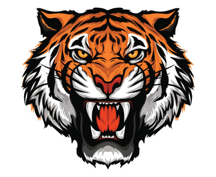 Tiger anger vector illustration. Fierce tiger head design, perfect for sports logos, team branding, and wildlife-themed artwork.