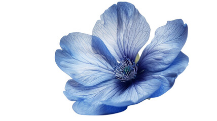 Light blue flower isolated on transparent background. Generative AI