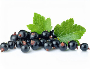 Juicy Black Currant Berries Freshly Picked and Ready to Enjoy!
