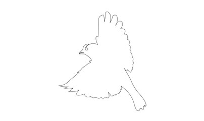 Birds fly-line art, single line art, continuous line art, vector art, illustrator.
