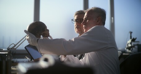 Archaeological laboratory: Senior paleoanthropologist holds prehistoric human skull, mature...