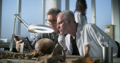 Archaeological laboratory: Mature archaeologist uses tablet computer and talks to senior...
