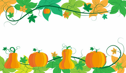 beautiful background with orange pumpkin, beautiful autumn background	