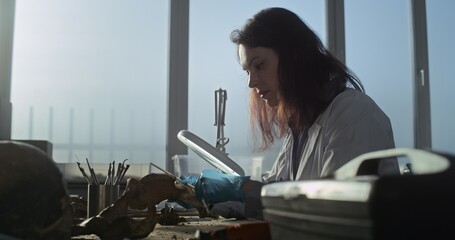 Female paleoanthropologist in gloves and lab coat examines prehistoric human bones under lamp, uses...