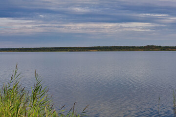 Schilf am Wallendorfer See, blauer Himmel mit Wolken, ehemaliger Braunkohle Tagebau Merseburg Ost, Schkopau, Saalekreis, Sachsen Anhalt, Deutschland