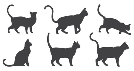 Set of  silhouette cats in different poses