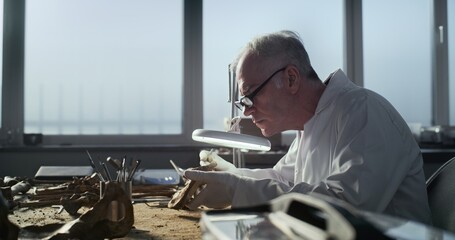 Senior paleoanthropologist in gloves and lab coat examines prehistoric human bones under lamp, uses...