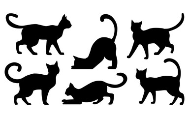 Set of  silhouette cats in different poses