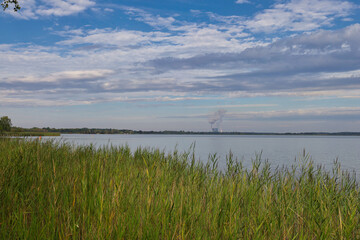 Schilf am Wallendorfer See, blauer Himmel mit Wolken, ehemaliger Braunkohle Tagebau Merseburg Ost, Schkopau, Saalekreis, Sachsen Anhalt, Deutschland