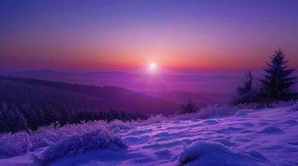 The first light of dawn in the Black Forest, with a purple sun casting a soft, warm light over the snowy, cold terrain.