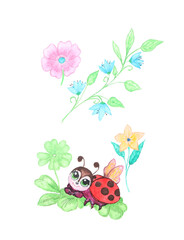 Watercolor painting of ladybug and beautiful flowers isolated on white