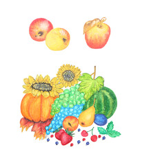 Watercolor painting of different vegetables, fruits and berries isolated on white